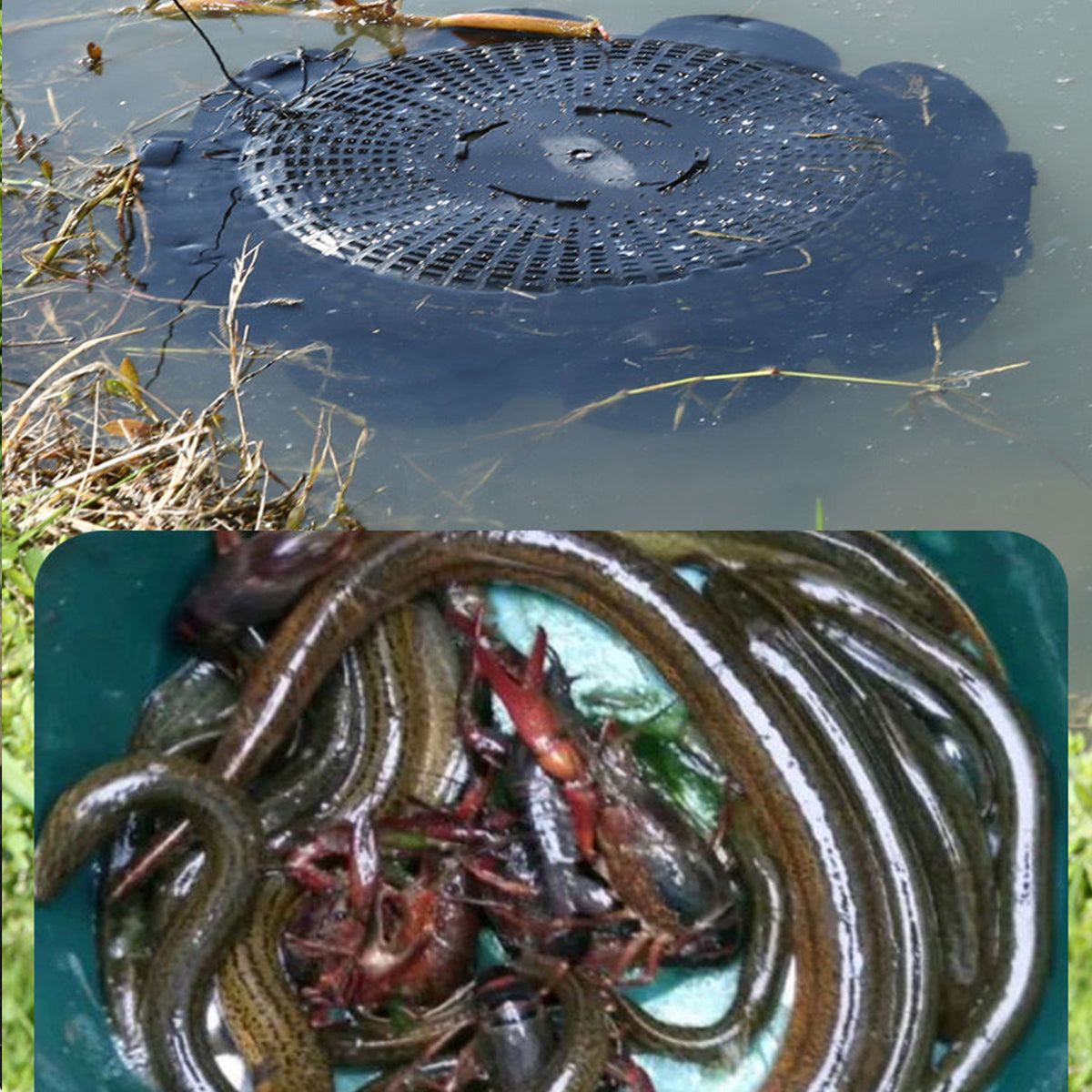 Ten-Hole Fishing Cage Trap for Eels Shrimp Crab and Fish