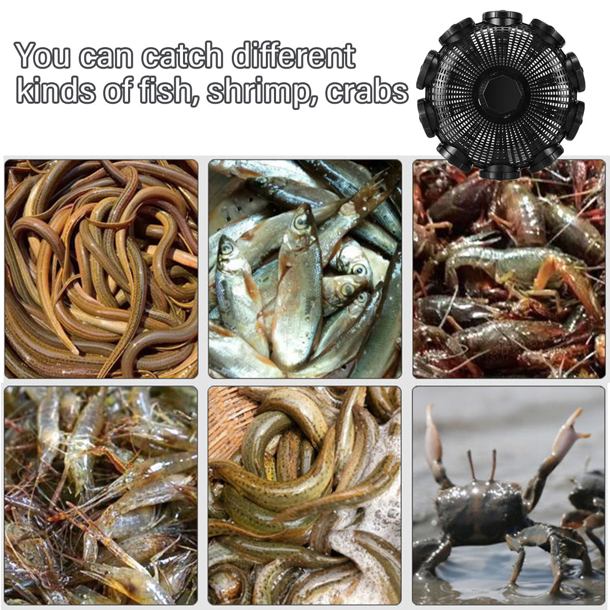 Ten-Hole Fishing Cage Trap for Eels Shrimp Crab and Fish