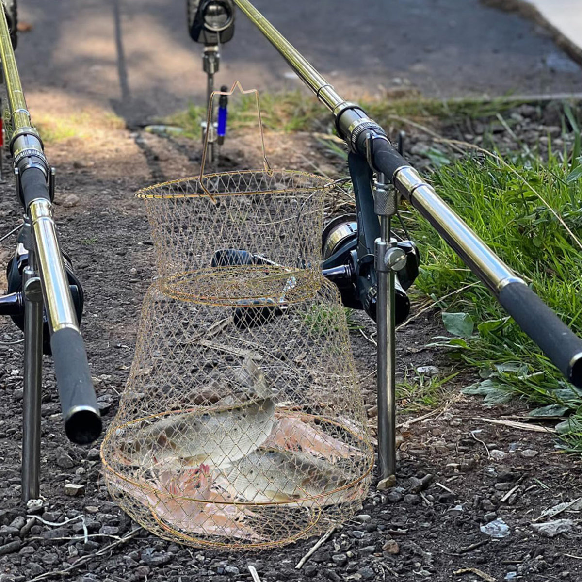 Foldable Galvanized Fish Trap Cage with Spring-Loaded Doors