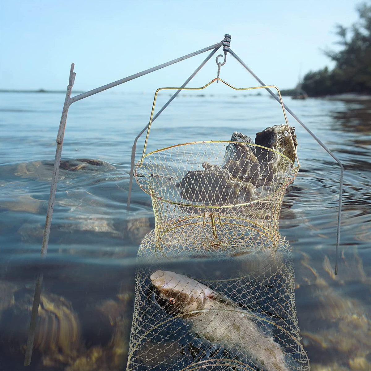 Foldable Galvanized Fish Trap Cage with Spring-Loaded Doors