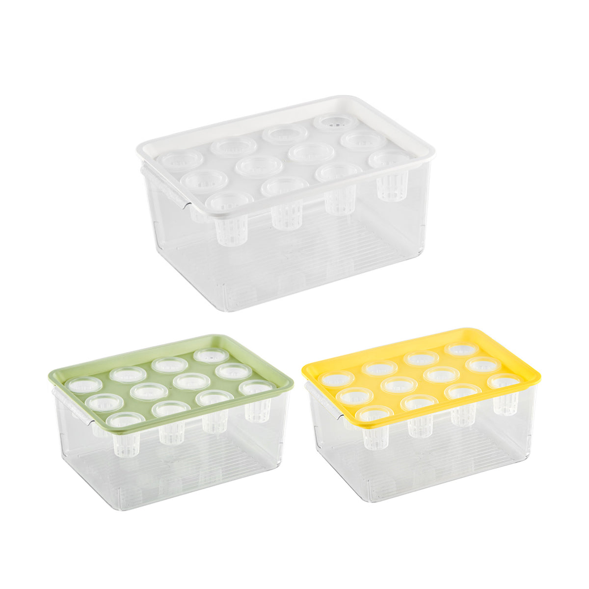 Transparent Hydroponic Aquarium with 12-Hole Lid