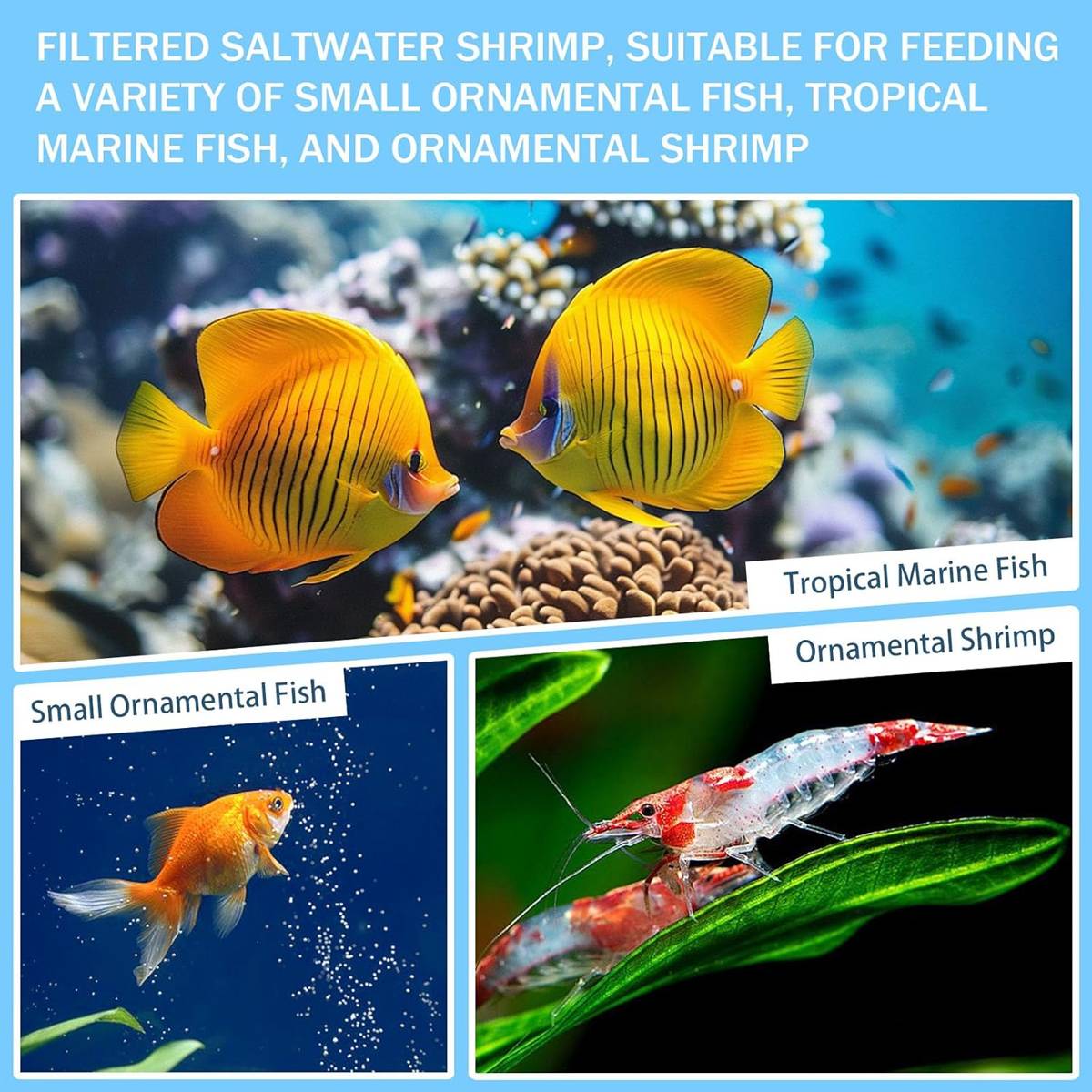 Three 18cm aquarium filter mesh screens – product view 12