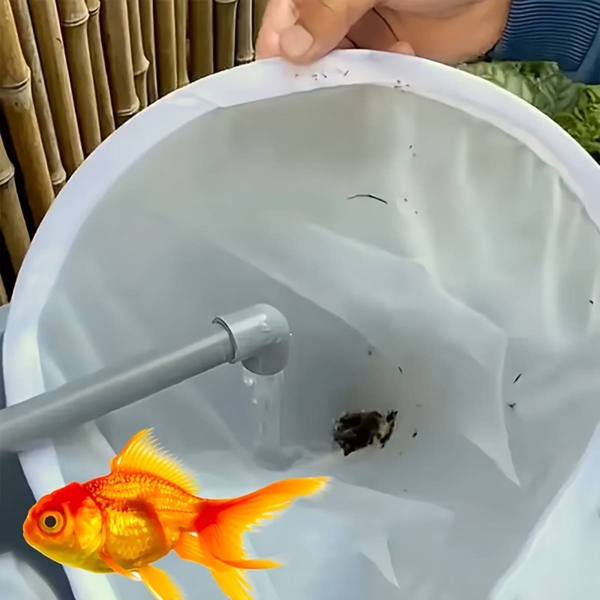 Three 18cm aquarium filter mesh screens – product view 7