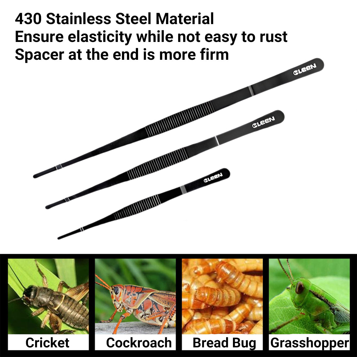 Stainless Steel Feeding Clip Forceps 3PCS Set For Reptiles