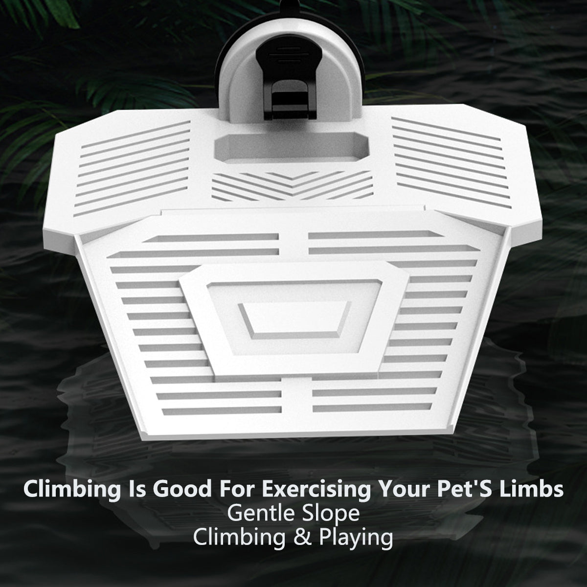 Tortoise Drying Platform Detachable Turtle Basking Ramp With Suction Cups