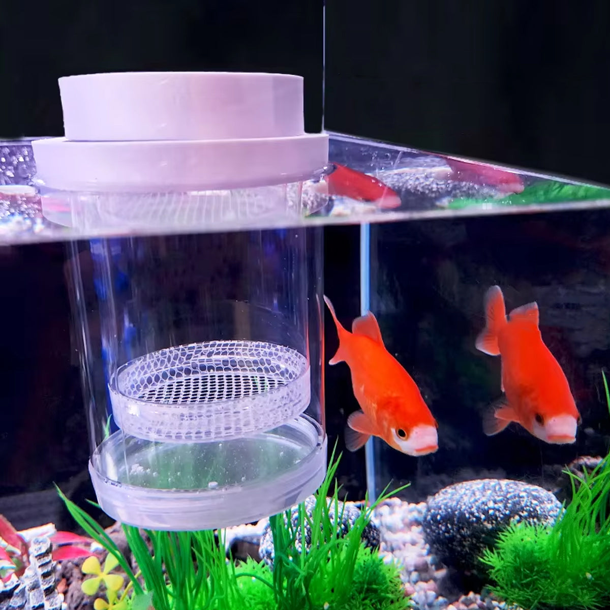 Floating Fish Breeding Box PET Isolation Tank For Fry & Small Fish