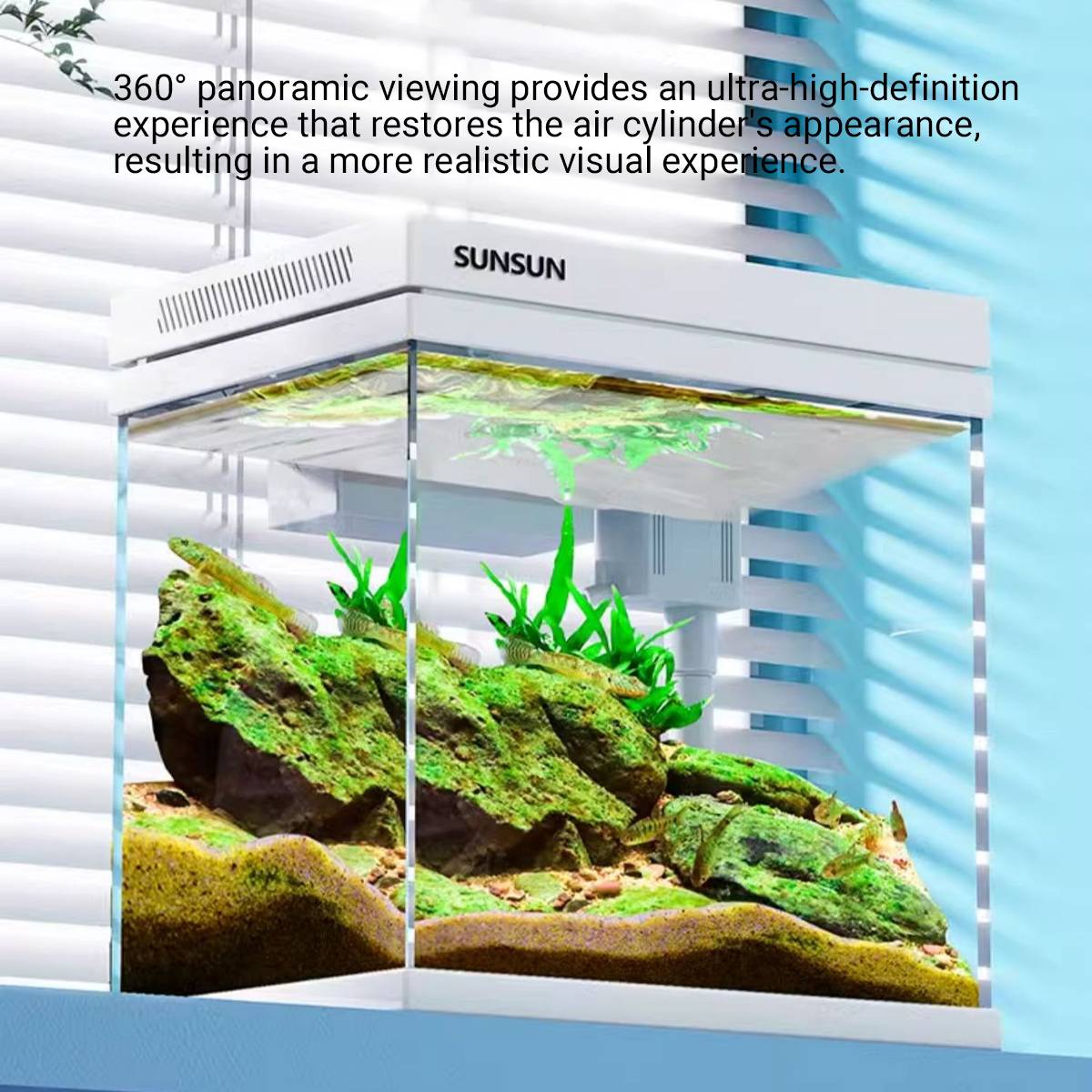 3 In 1 Aquarium Fish Tank Kit With Filter Light