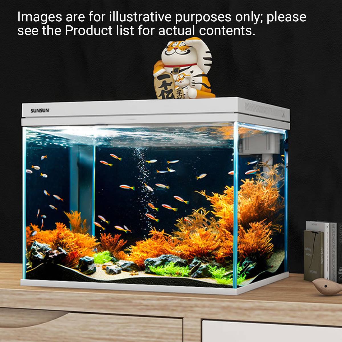 3 In 1 Aquarium Fish Tank Kit With Filter Light