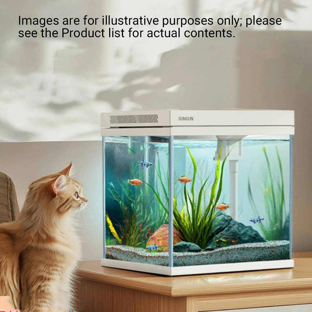 3 In 1 Aquarium Fish Tank Kit With Filter Light