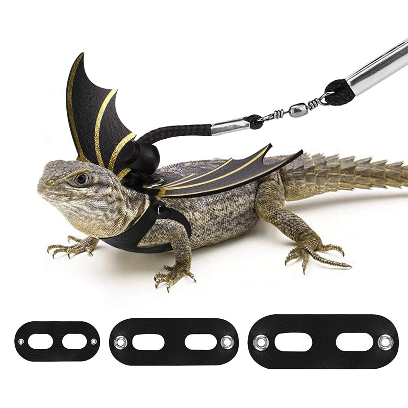 Adjustable Leather Lizard Leash With Wings Reptile Harness Set