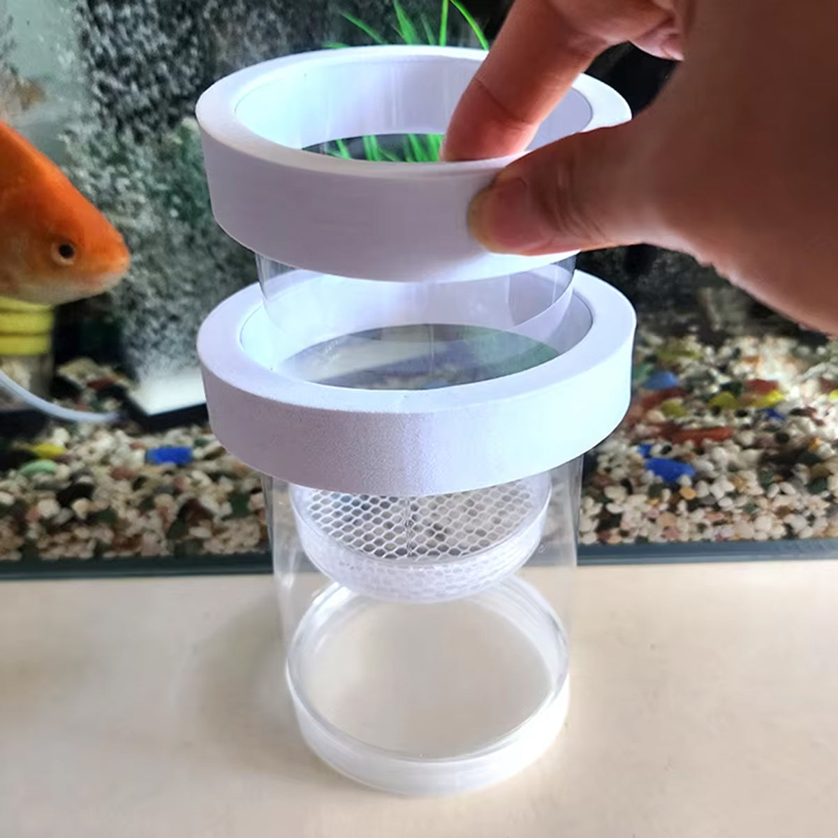 Floating Fish Breeding Box PET Isolation Tank For Fry & Small Fish