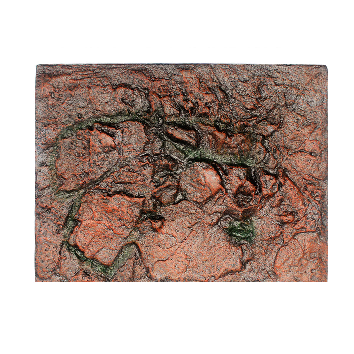 3D Foam Reptile Tank Background Board