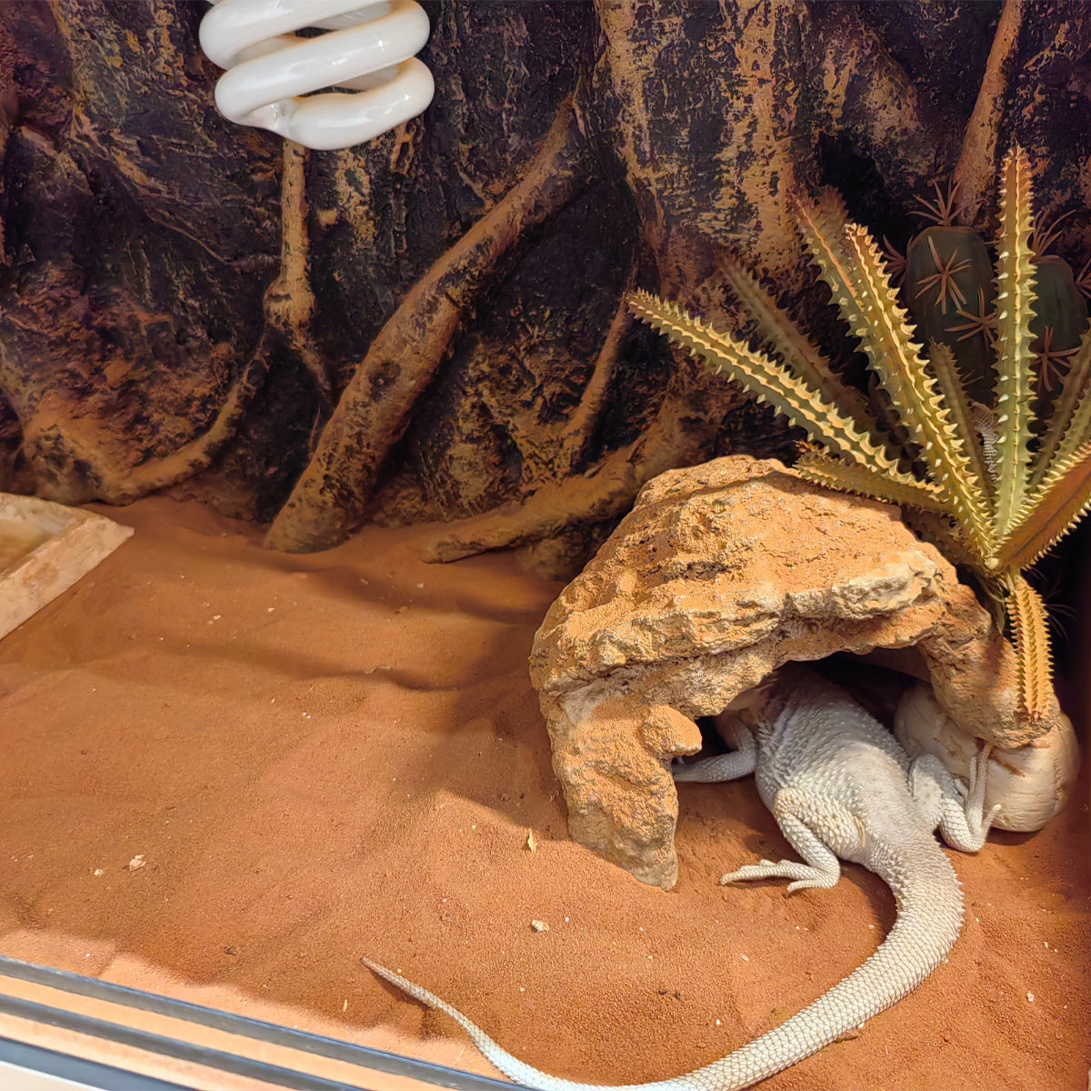 3D Foam Reptile Tank Background Board