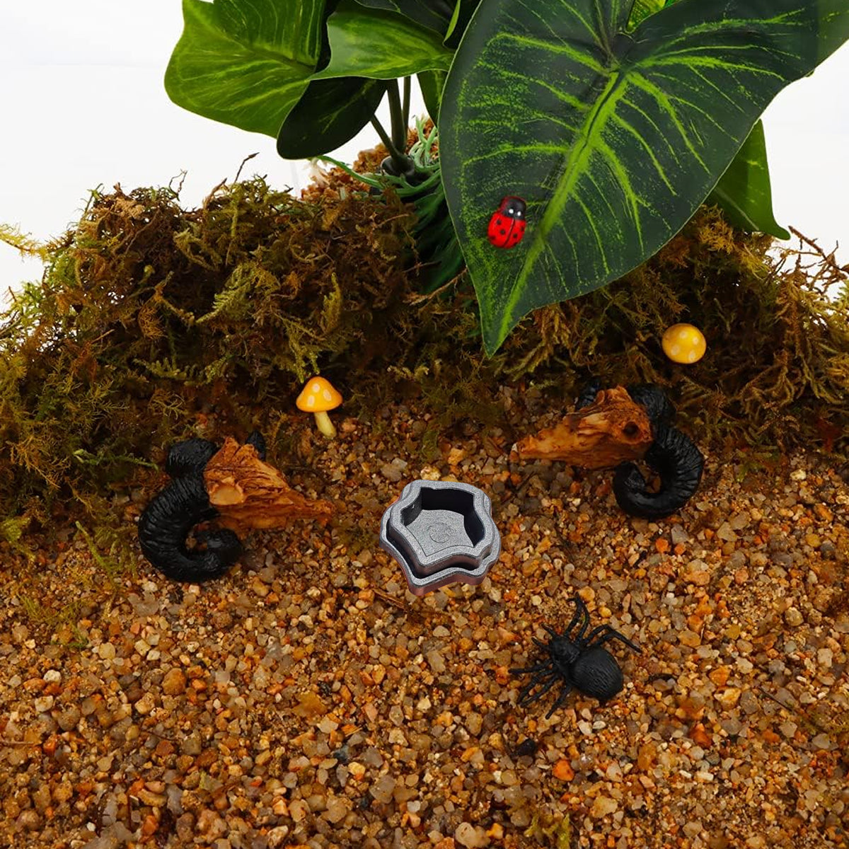 10pcs Mini Resin Reptile Bowls