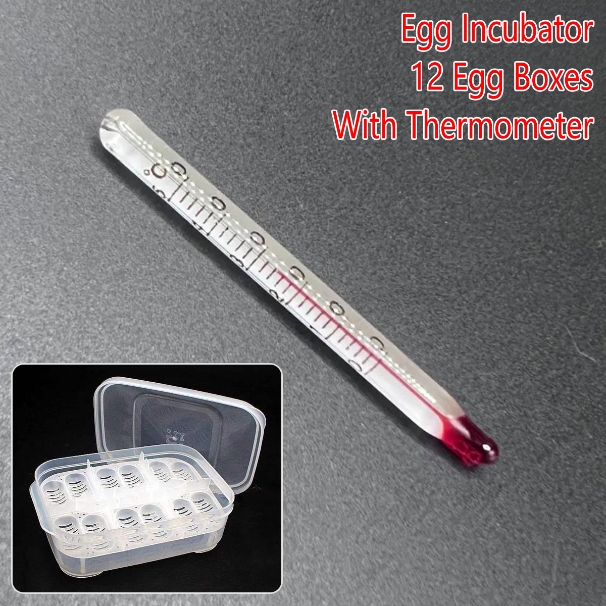 Reptile Egg Incubation Tray 12-Slot Hatching Box with Lid
