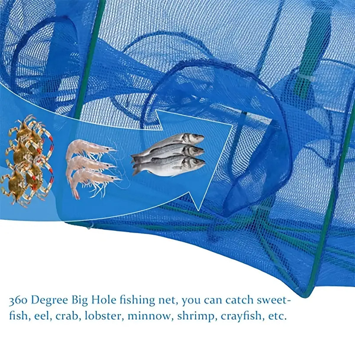 Foldable Fishing Net Trap with 6 8 10 Holes