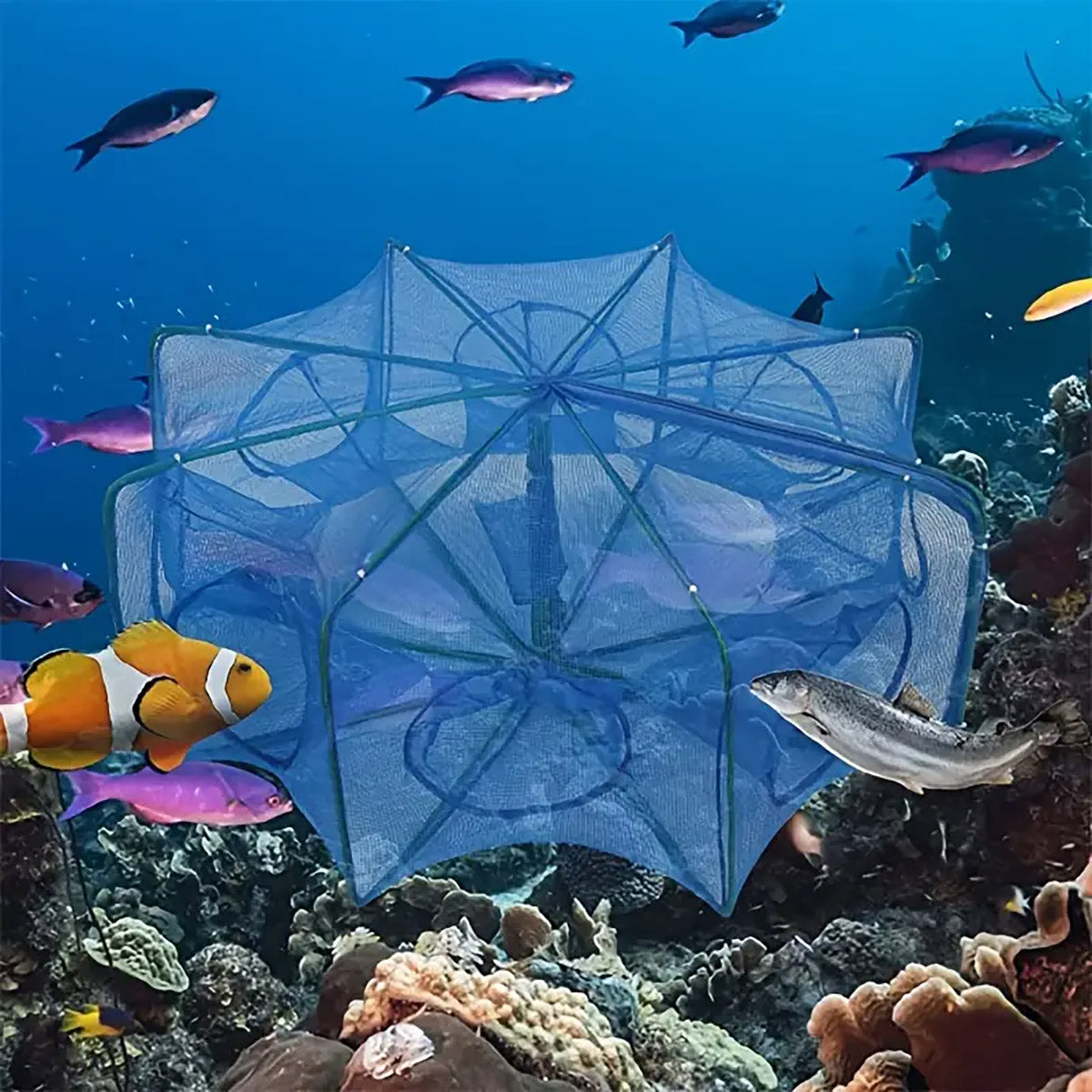 Foldable Fishing Net Trap with 6 8 10 Holes