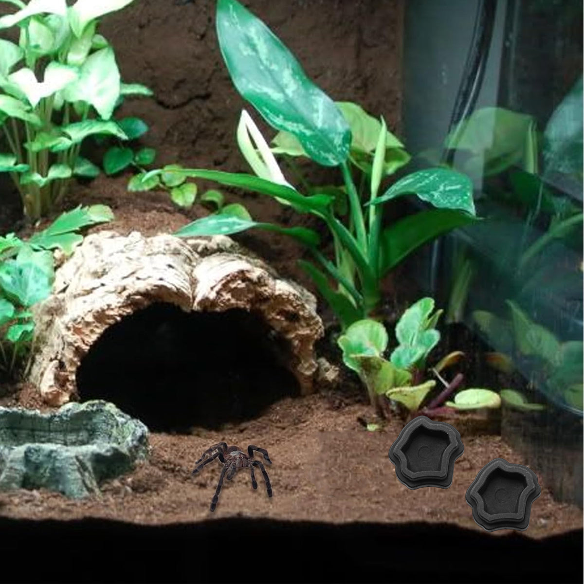10pcs Mini Resin Reptile Bowls