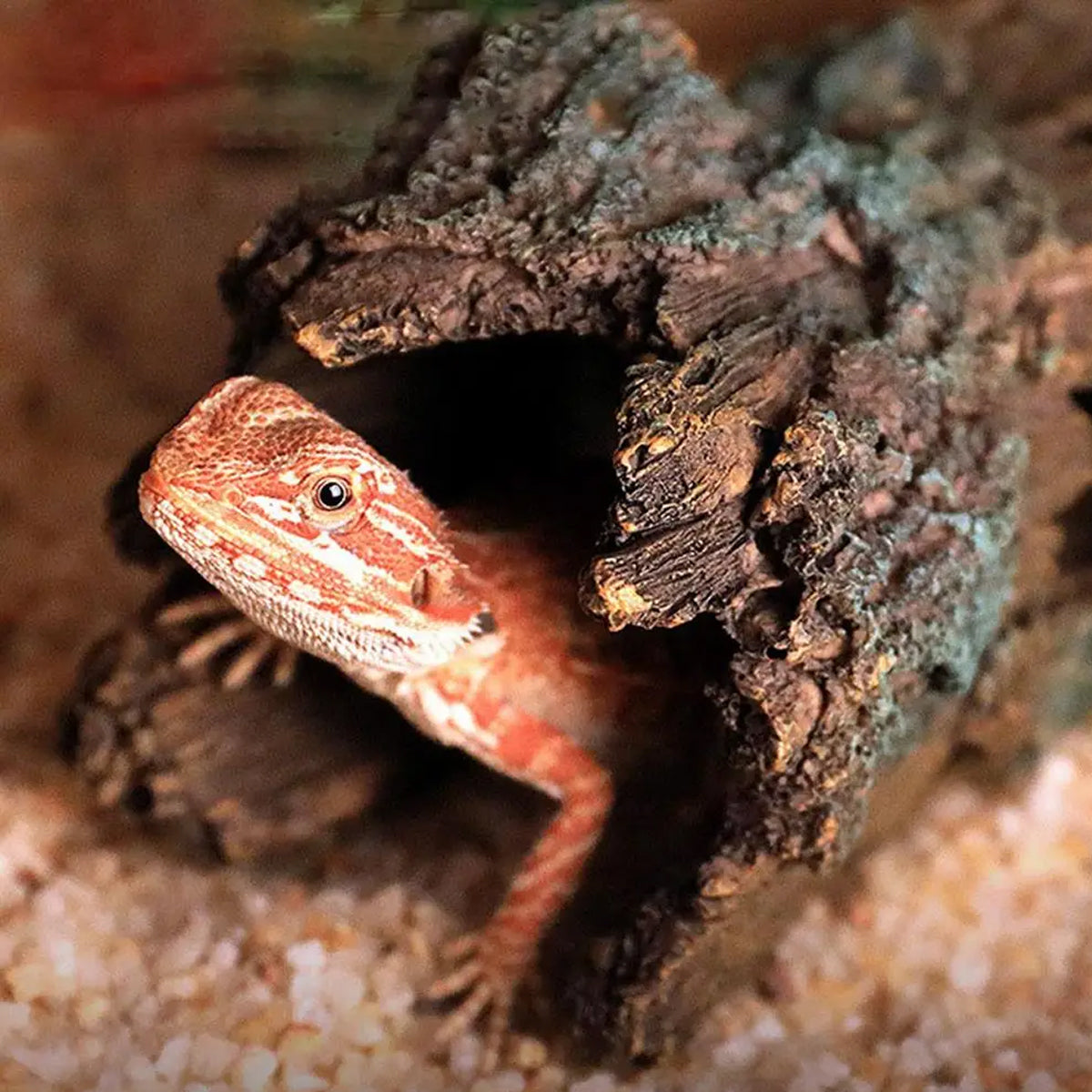 Reptile Hideout Cave Bark Style Resin Habitat Decoration