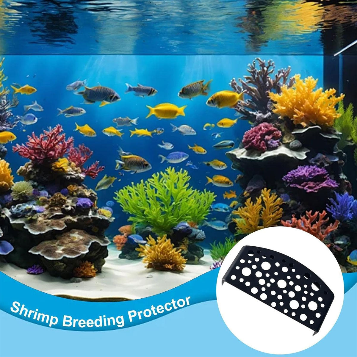 Shrimp Hiding Caves Aquarium Shelter Set Of 2 For Fish Tanks