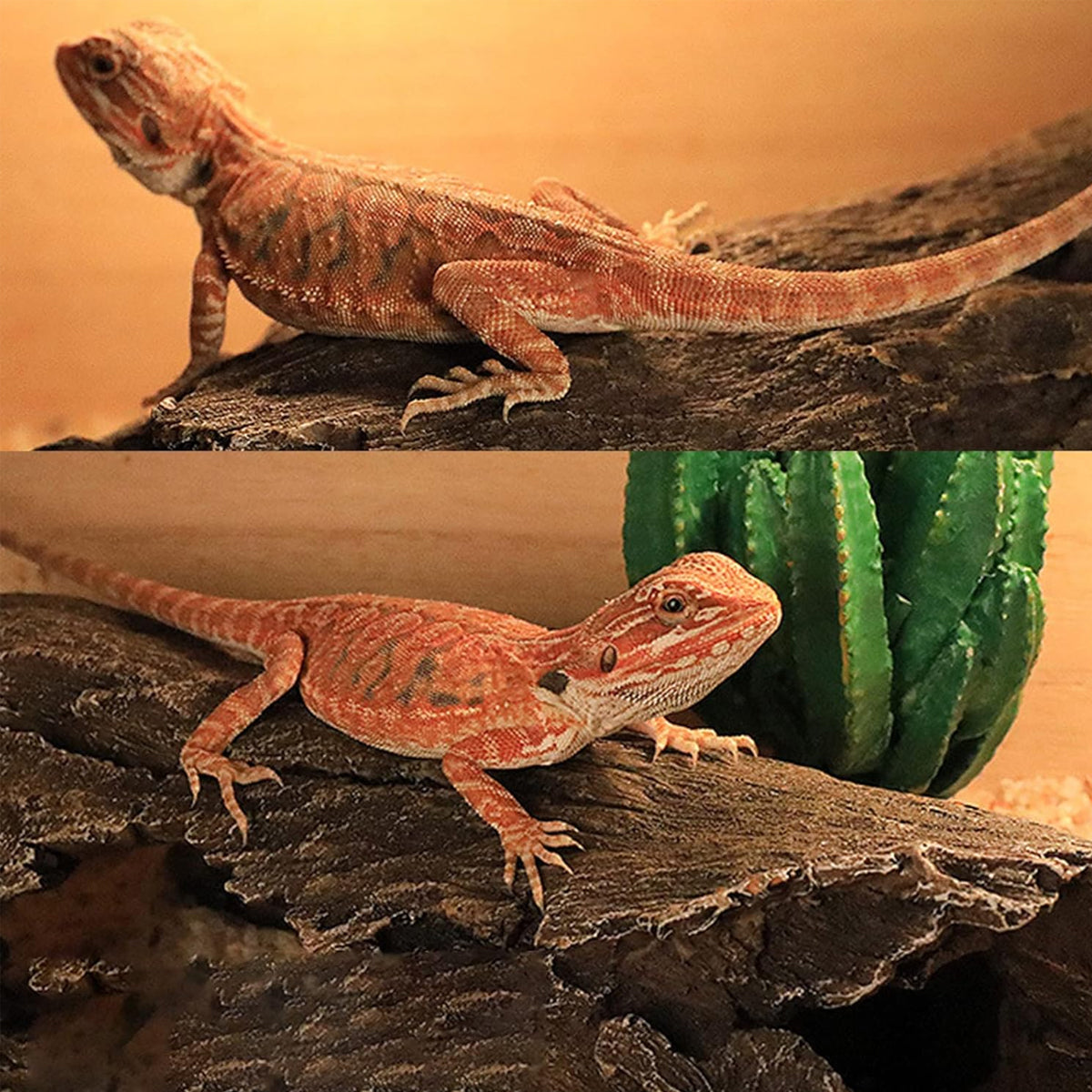 Reptile Hideout Cave Bark Style Resin Habitat Decoration