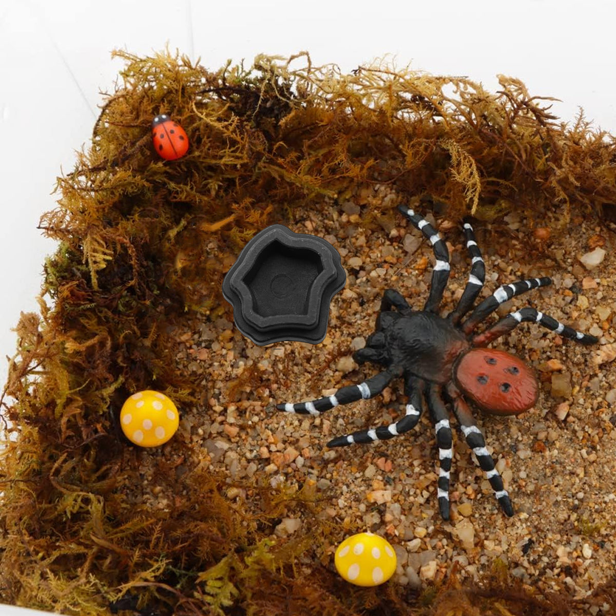 10pcs Mini Resin Reptile Bowls