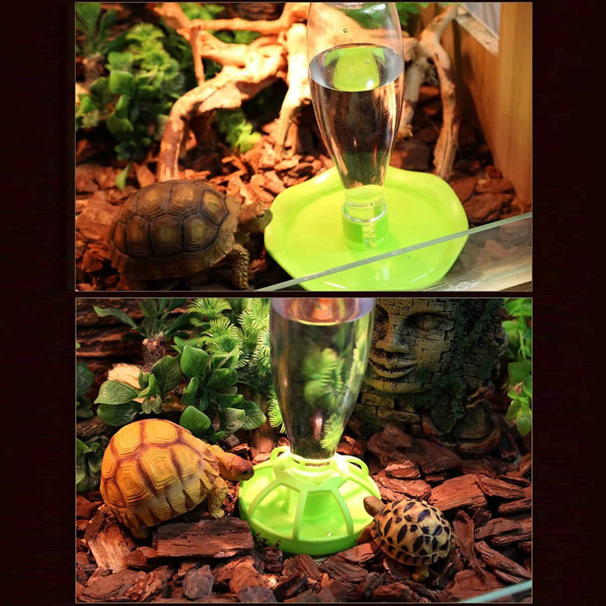 Reptile Feeding And Water Dispenser Bowl For Turtles And Lizards