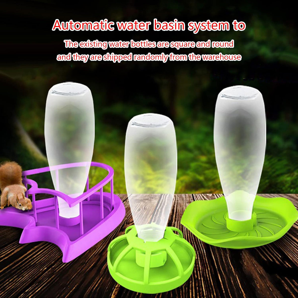 Reptile Feeding And Water Dispenser Bowl For Turtles And Lizards