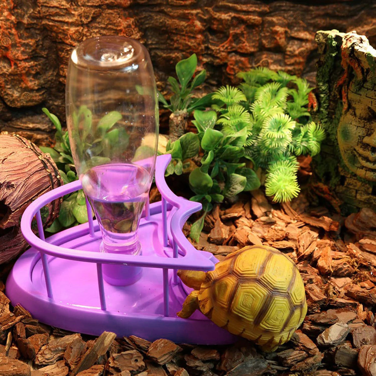 Reptile Feeding And Water Dispenser Bowl For Turtles And Lizards