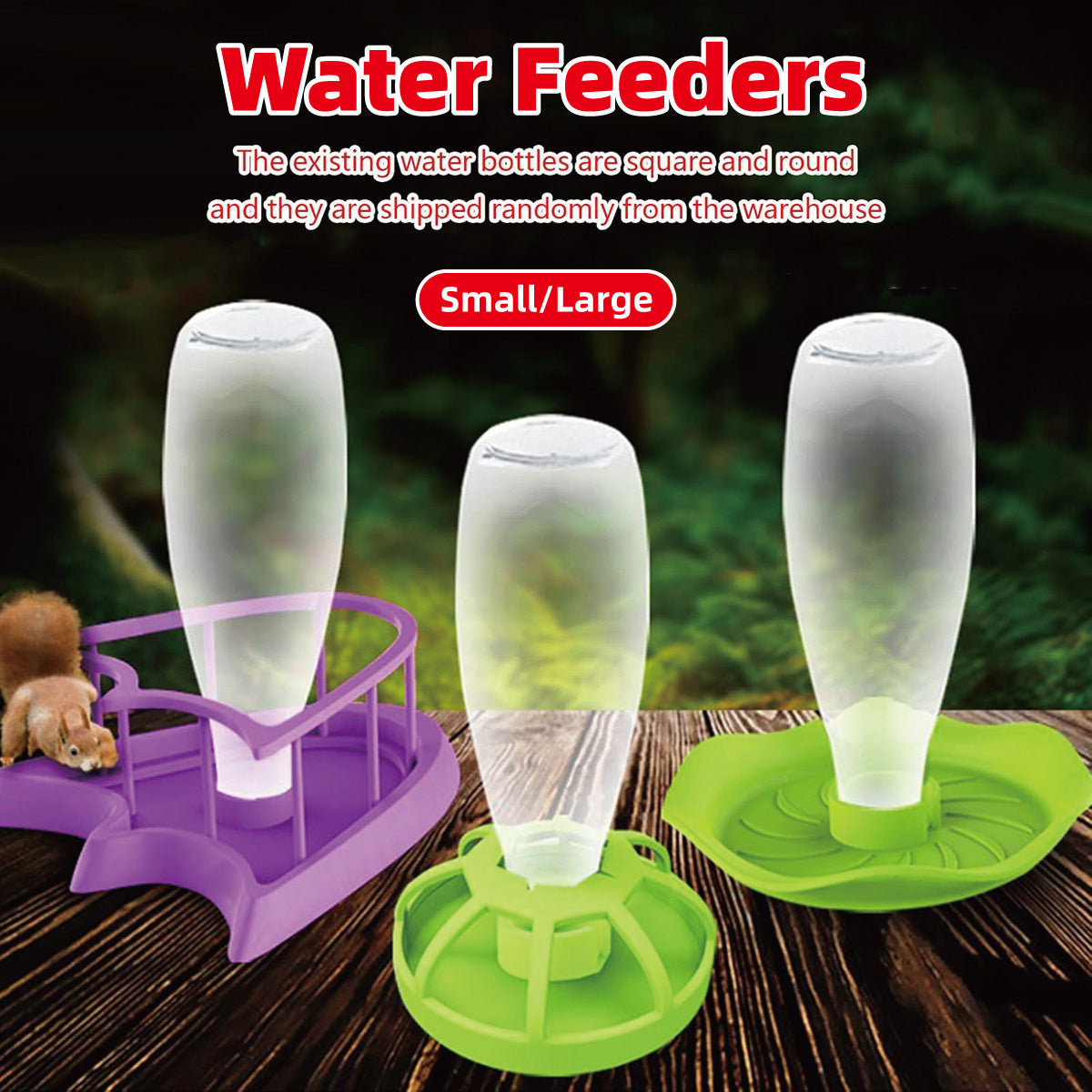 Reptile Feeding And Water Dispenser Bowl For Turtles And Lizards
