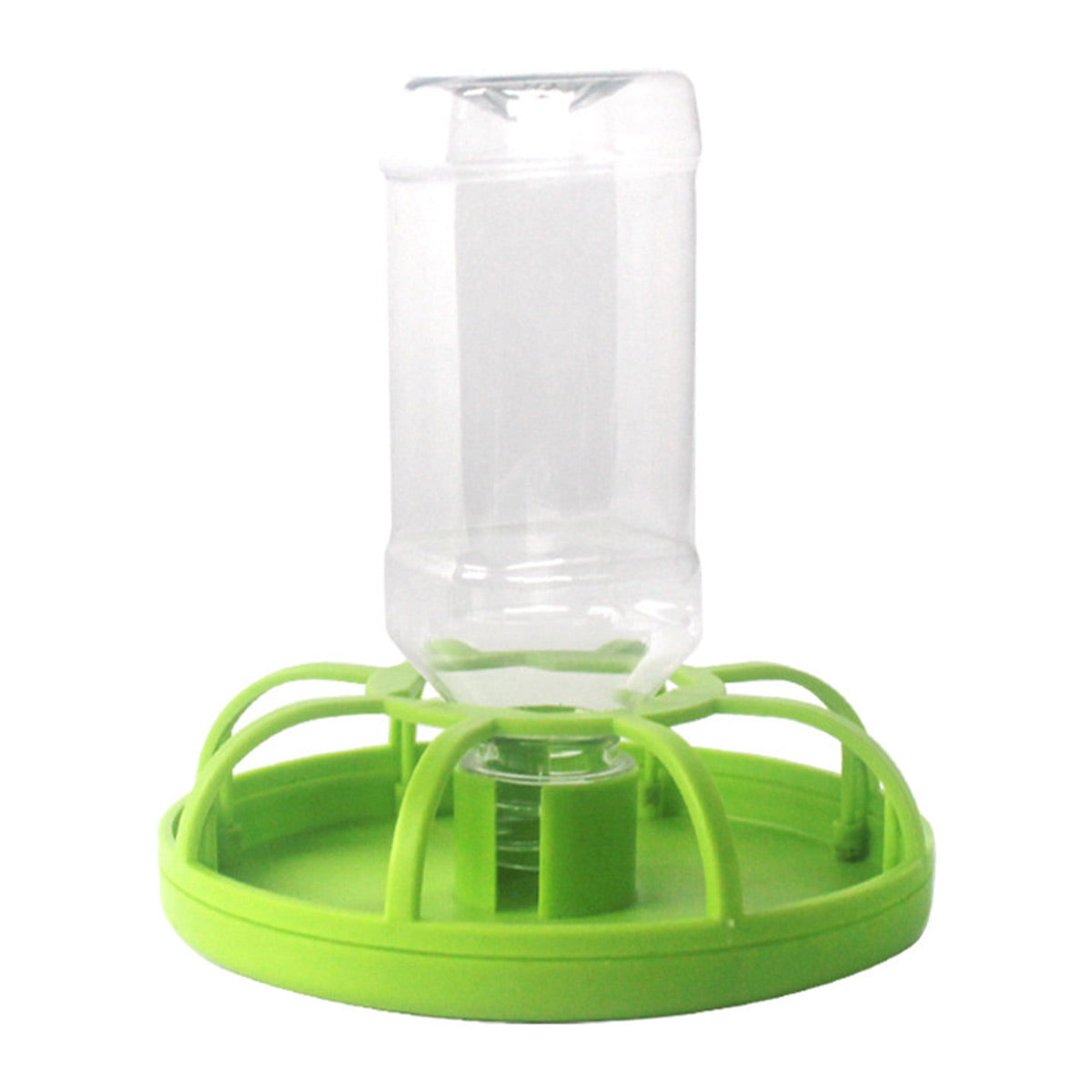 Reptile Feeding And Water Dispenser Bowl For Turtles And Lizards