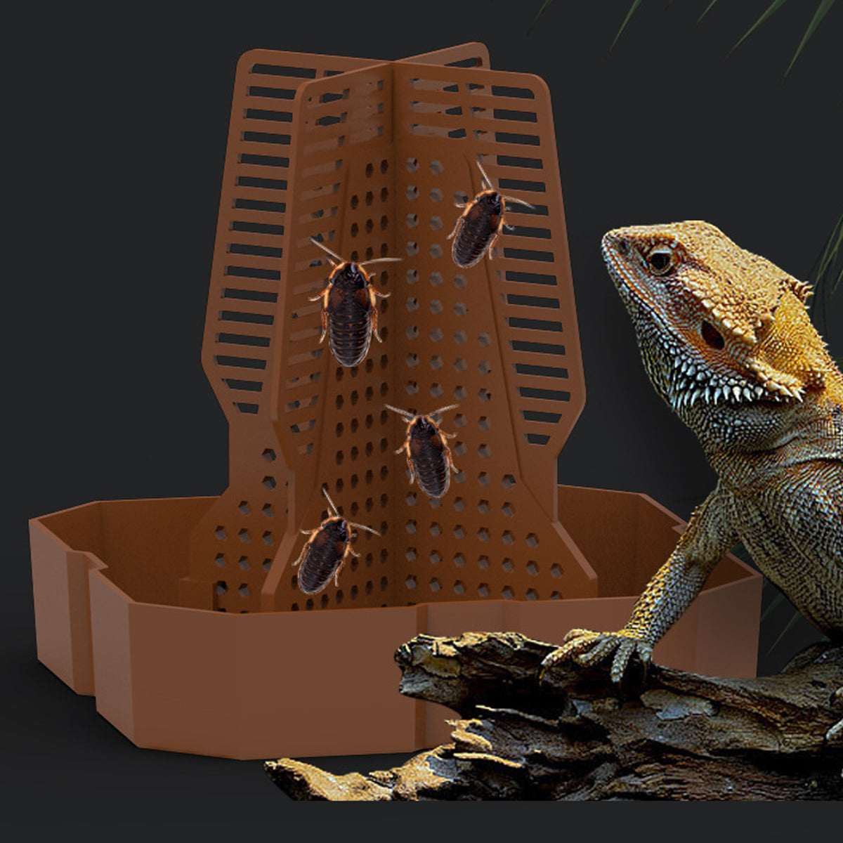 Reptile Feeding Basin Anti-Escape Cricket Feeder Bowl For Frogs & Small Pets