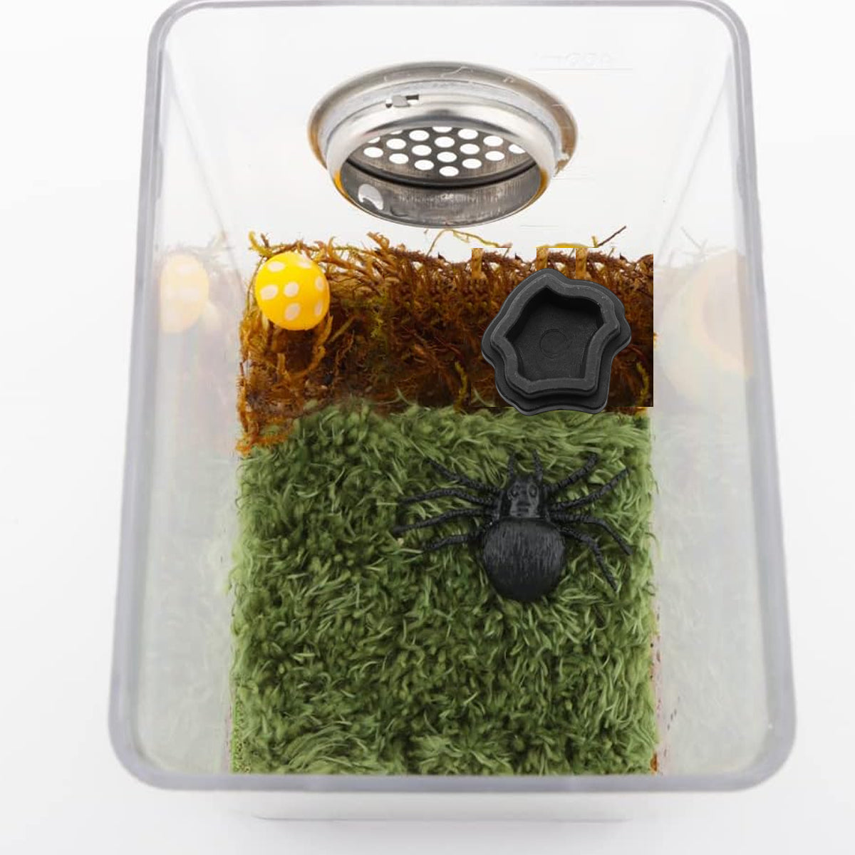 10pcs Mini Resin Reptile Bowls