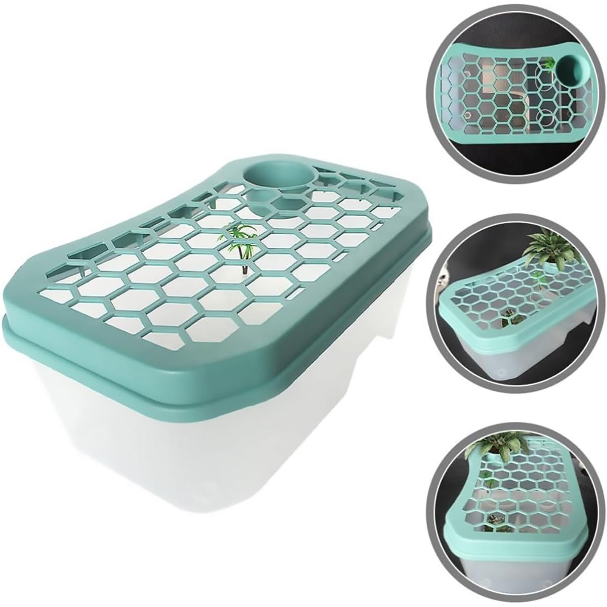 Plastic Turtle Tank With Ramp And Basking Platform
