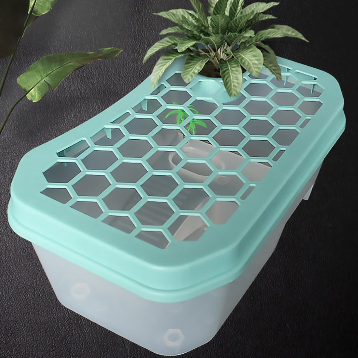Plastic Turtle Tank With Ramp And Basking Platform