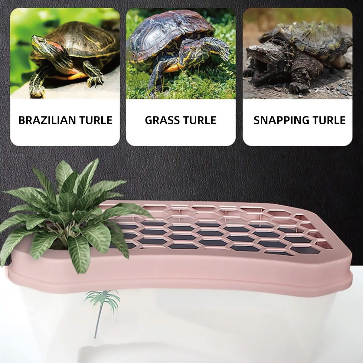 Plastic Turtle Tank With Ramp And Basking Platform