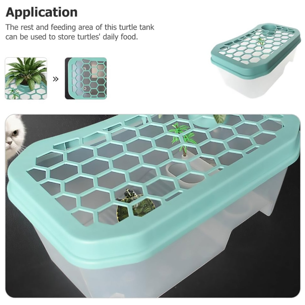 Plastic Turtle Tank With Ramp And Basking Platform
