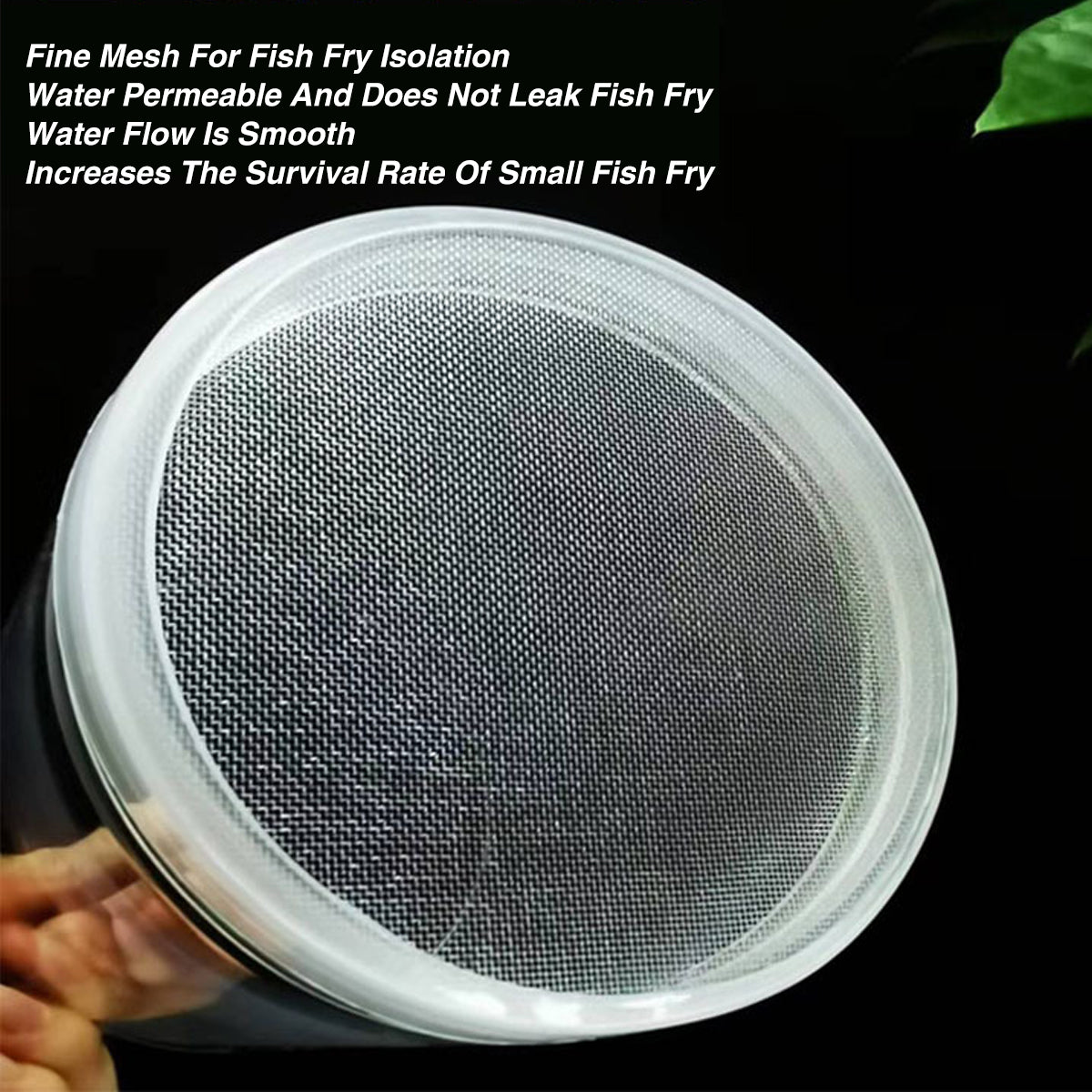 Floating Fish Breeding Box PET Isolation Tank For Fry & Small Fish