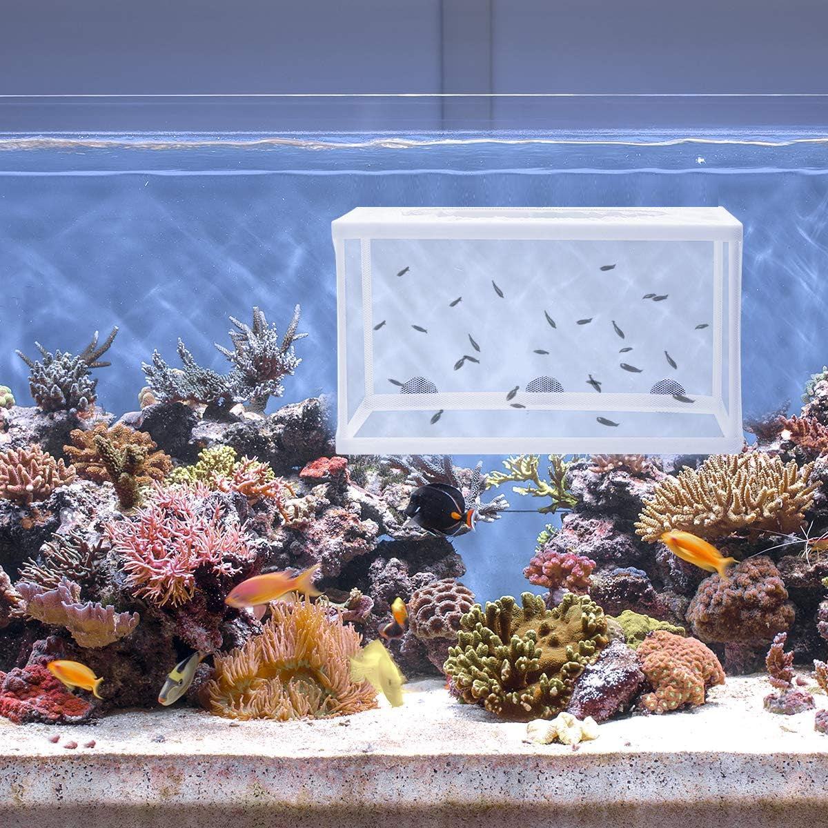 2pcs Fish Breeding Hatchery Box Juvenile Isolation Net Fry Spawning Incubator