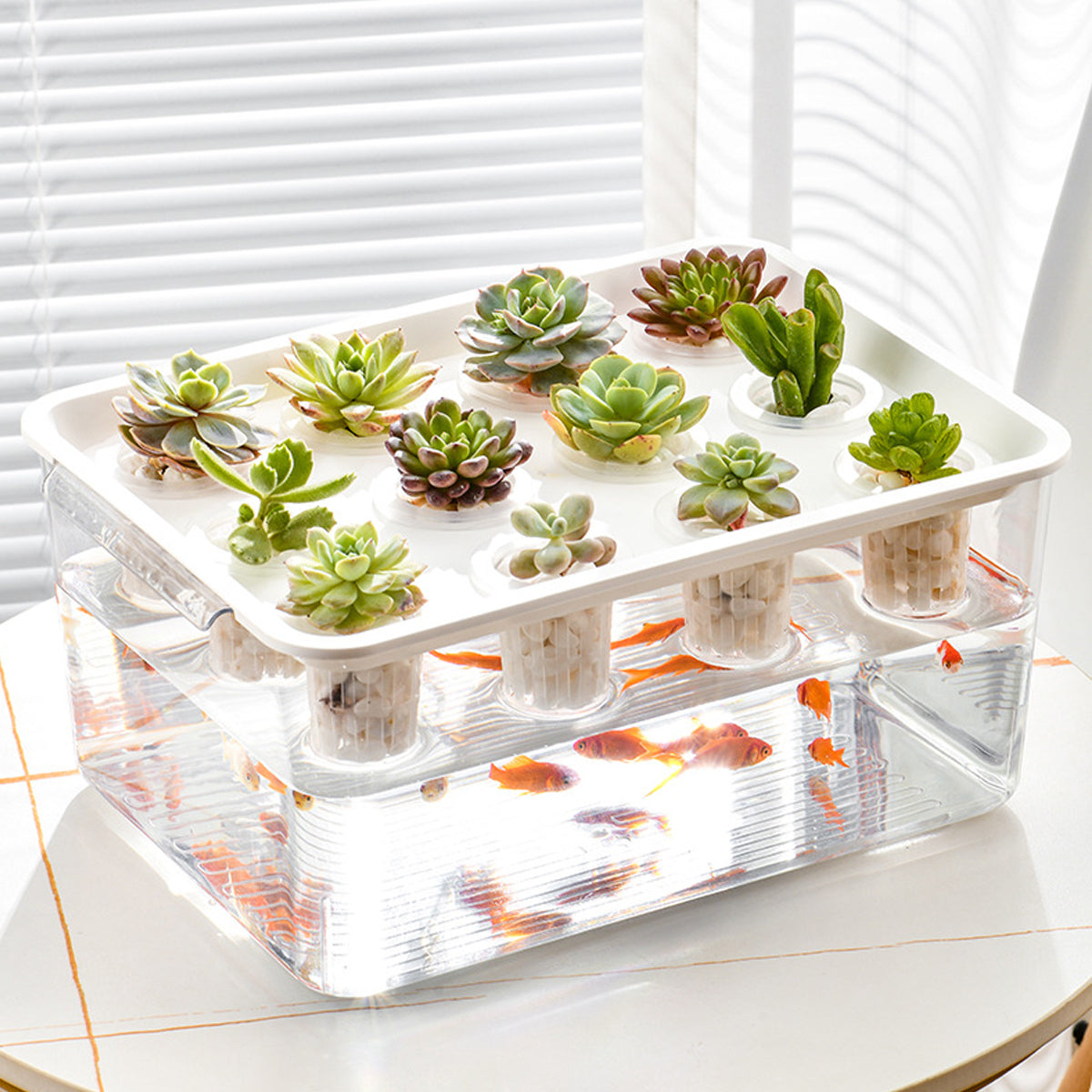 Transparent Hydroponic Aquarium with 12-Hole Lid