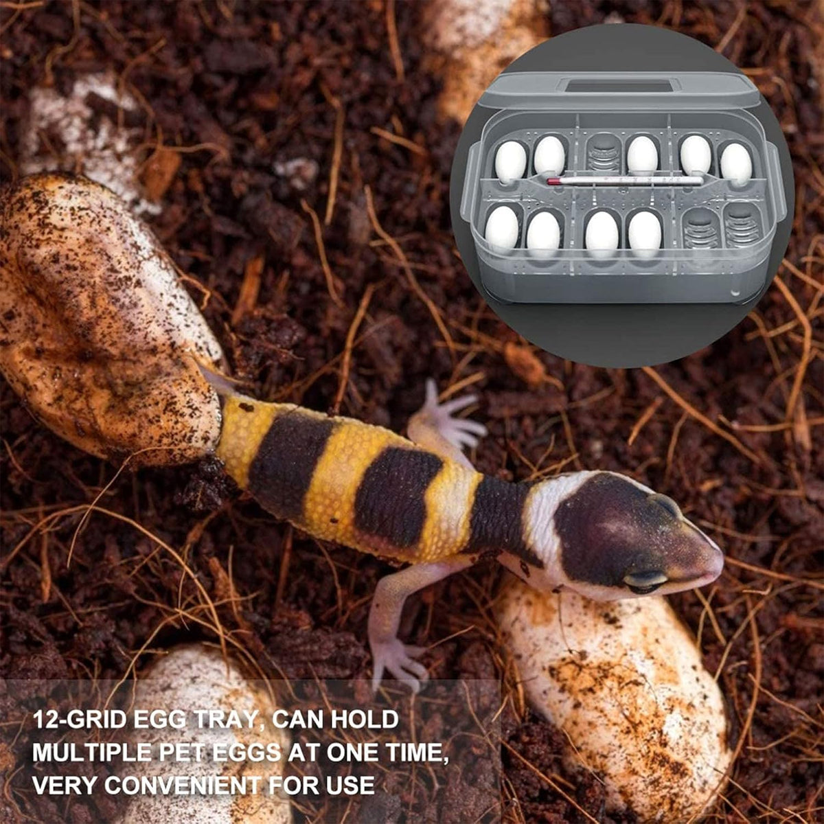 Reptile Egg Incubation Tray 12-Slot Hatching Box with Lid
