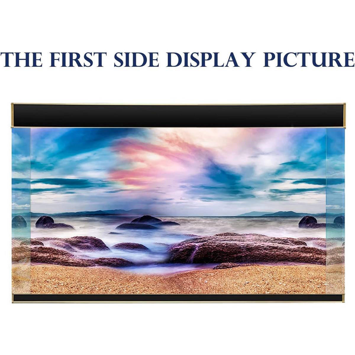 Double-Sided Aquarium Background for Tanks