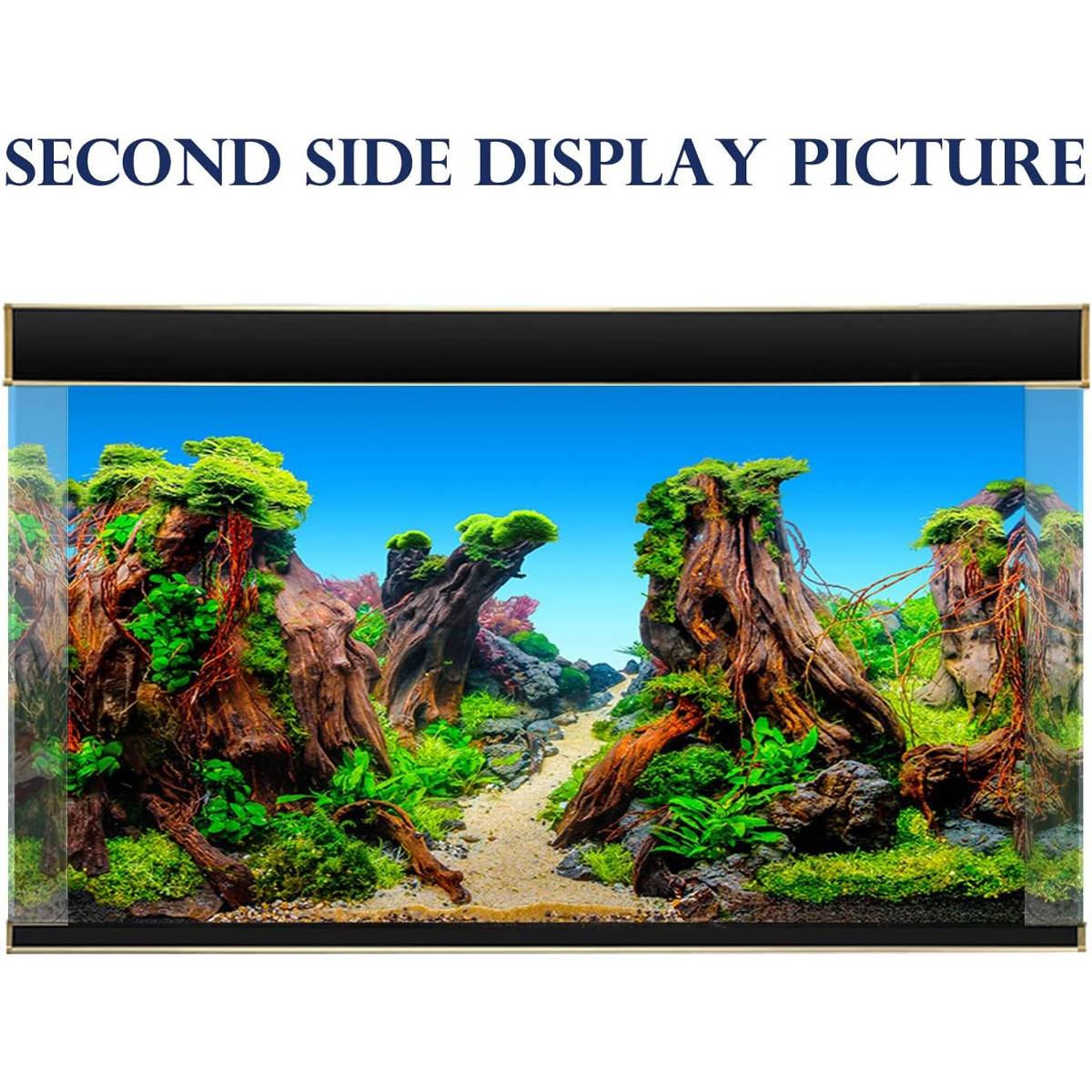 Double-Sided Aquarium Background for Tanks