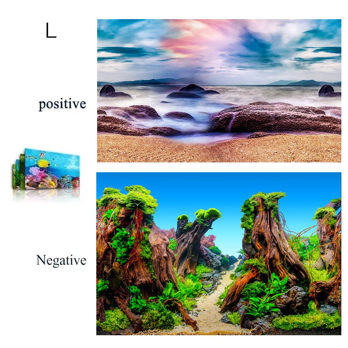 Double-Sided Aquarium Background for Tanks