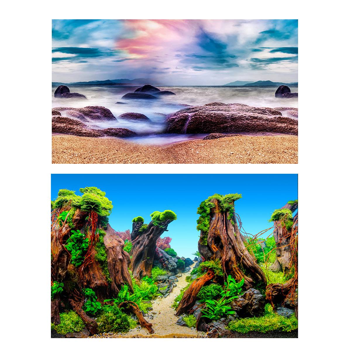 Double-Sided Aquarium Background for Tanks