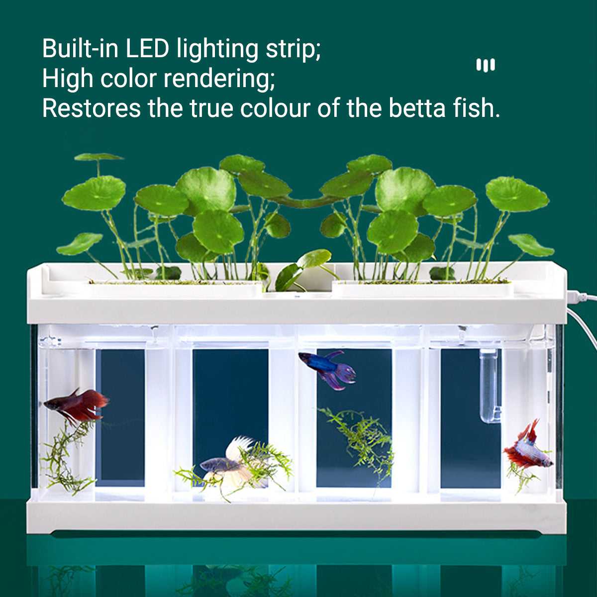 4 Grid Acrylic Betta Fish Tank with Filter & LED