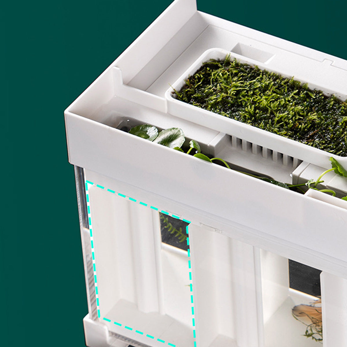 Acrylic Betta Fish Tank Four Grid Partition Clear for Desktop Home Office Decor