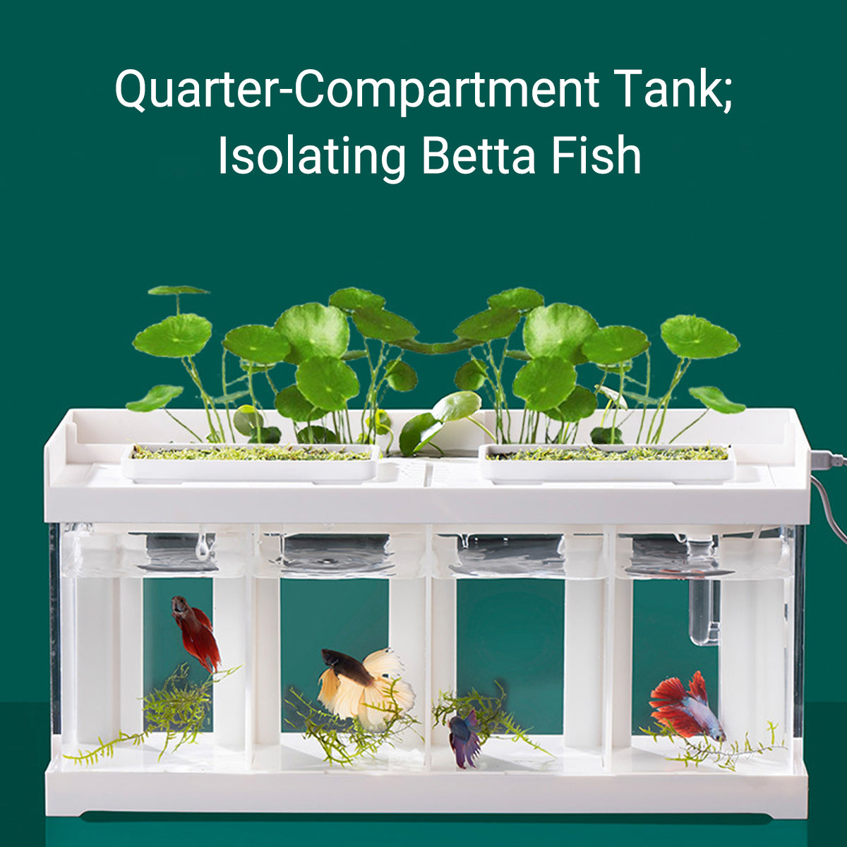 Acrylic Betta Fish Tank Four Grid Partition Clear for Desktop Home Office Decor