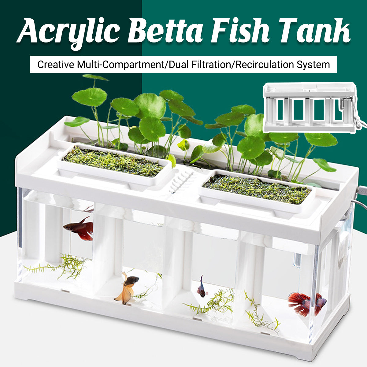 Acrylic Betta Fish Tank Four Grid Partition Clear for Desktop Home Office Decor