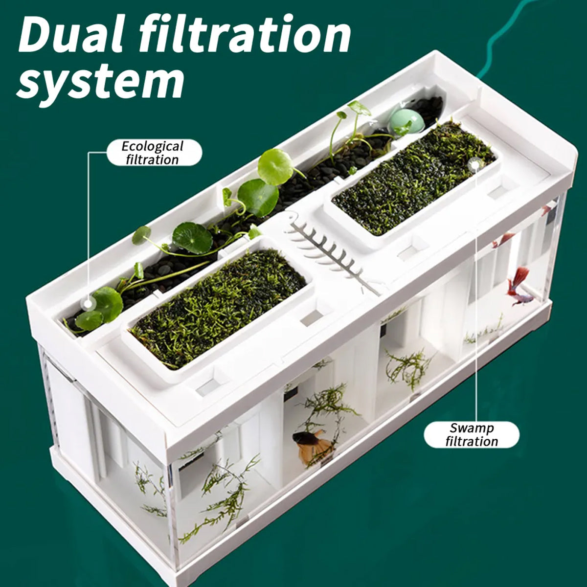 Acrylic Betta Fish Tank Four Grid Partition Clear for Desktop Home Office Decor